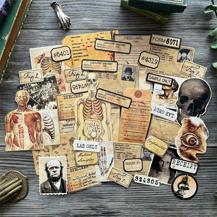 DIY Scrapbooking Vintage ตุ๊กต - Photography Journal บทวิจารณ์และราคา