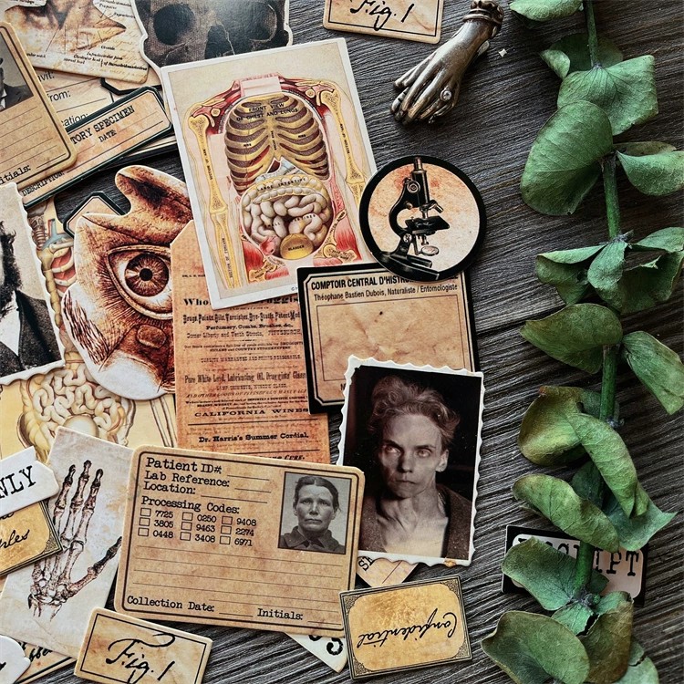 DIY Scrapbooking Vintage ตุ๊กต - Photography Journal บทวิจารณ์และราคา