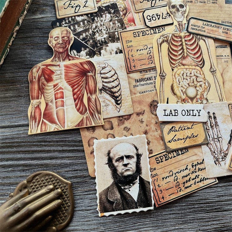 DIY Scrapbooking Vintage ตุ๊กต - Photography Journal บทวิจารณ์และราคา