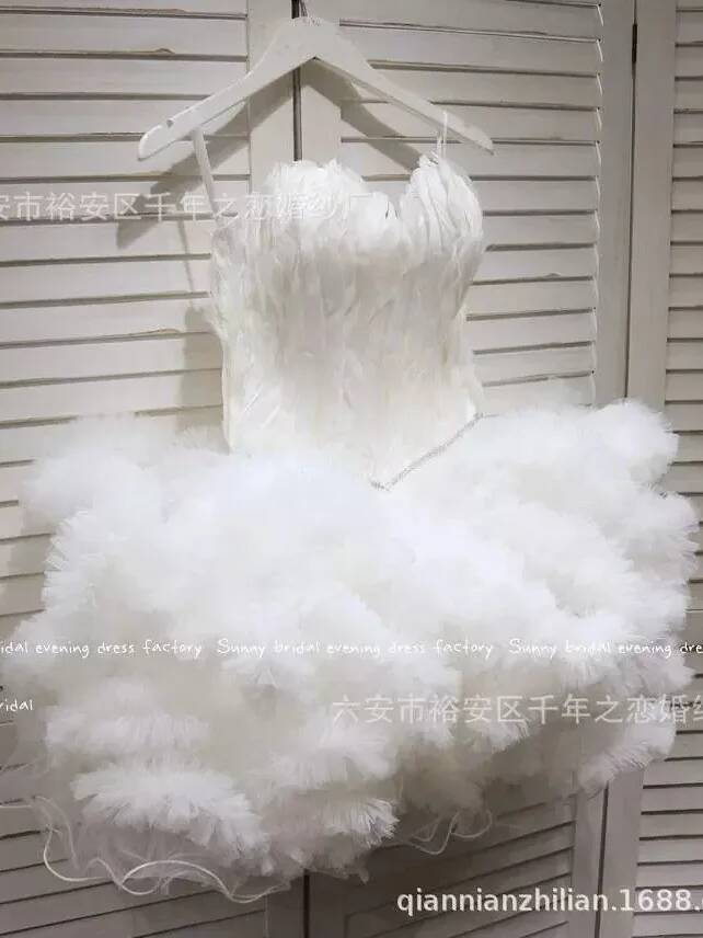 ชุดเดรสเจ้าหญิงสำหรับถ่ายภาพท่ - Photography Fashion บทวิจารณ์และราคา