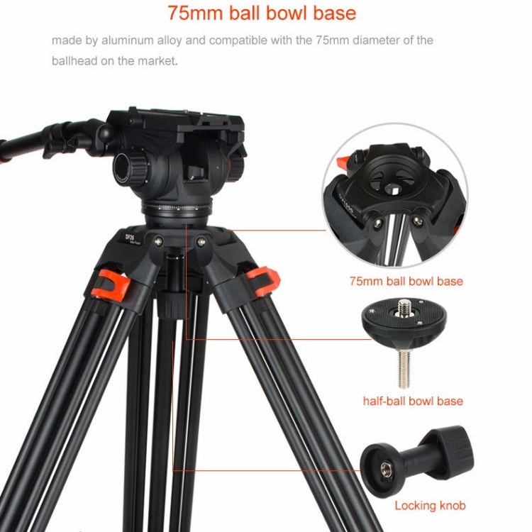 Coman การถ่ายภาพวิดีโออลูมิเนี - Photography Competition บทวิจารณ์และราคา