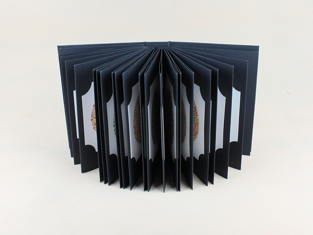 Ishihara Book 38 แผ่น Optometr - Color Checker Card บทวิจารณ์และราคา